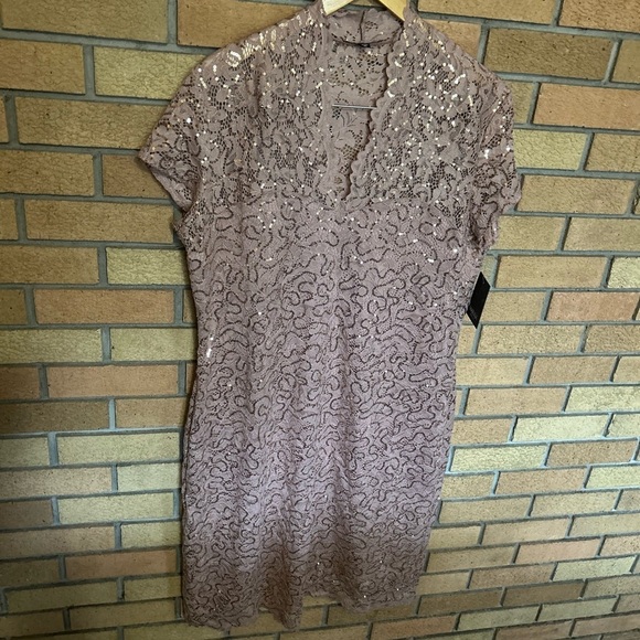 NWT Marina Lace Cap Sleeve Scalloped V-Neck Sheath Dress Blush Pink Size XL - Picture 2 of 7